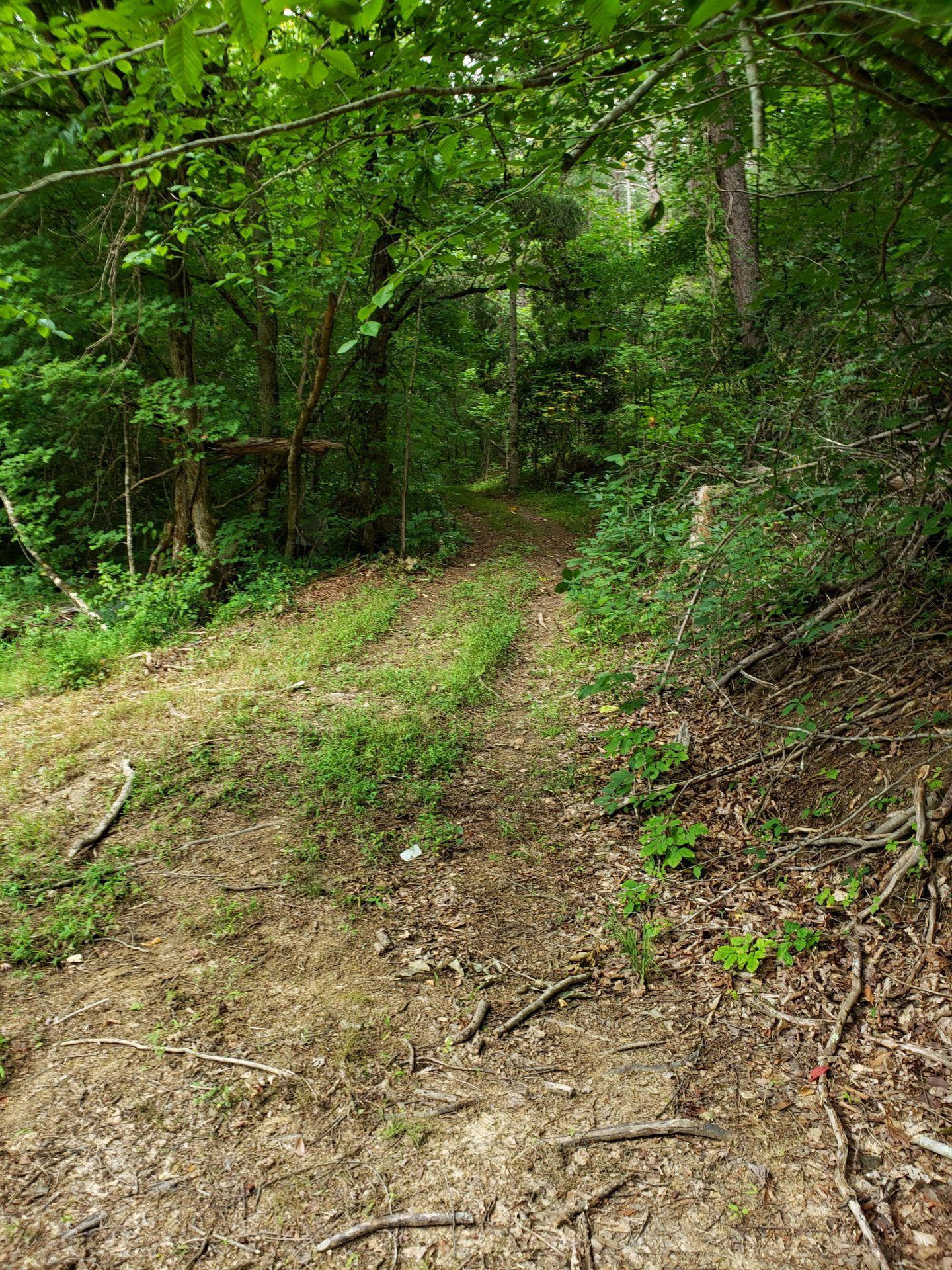 0 Lower Caney Valley Road Tazewell, TN 37879 - Photo 11 of 13 unnamed (11)