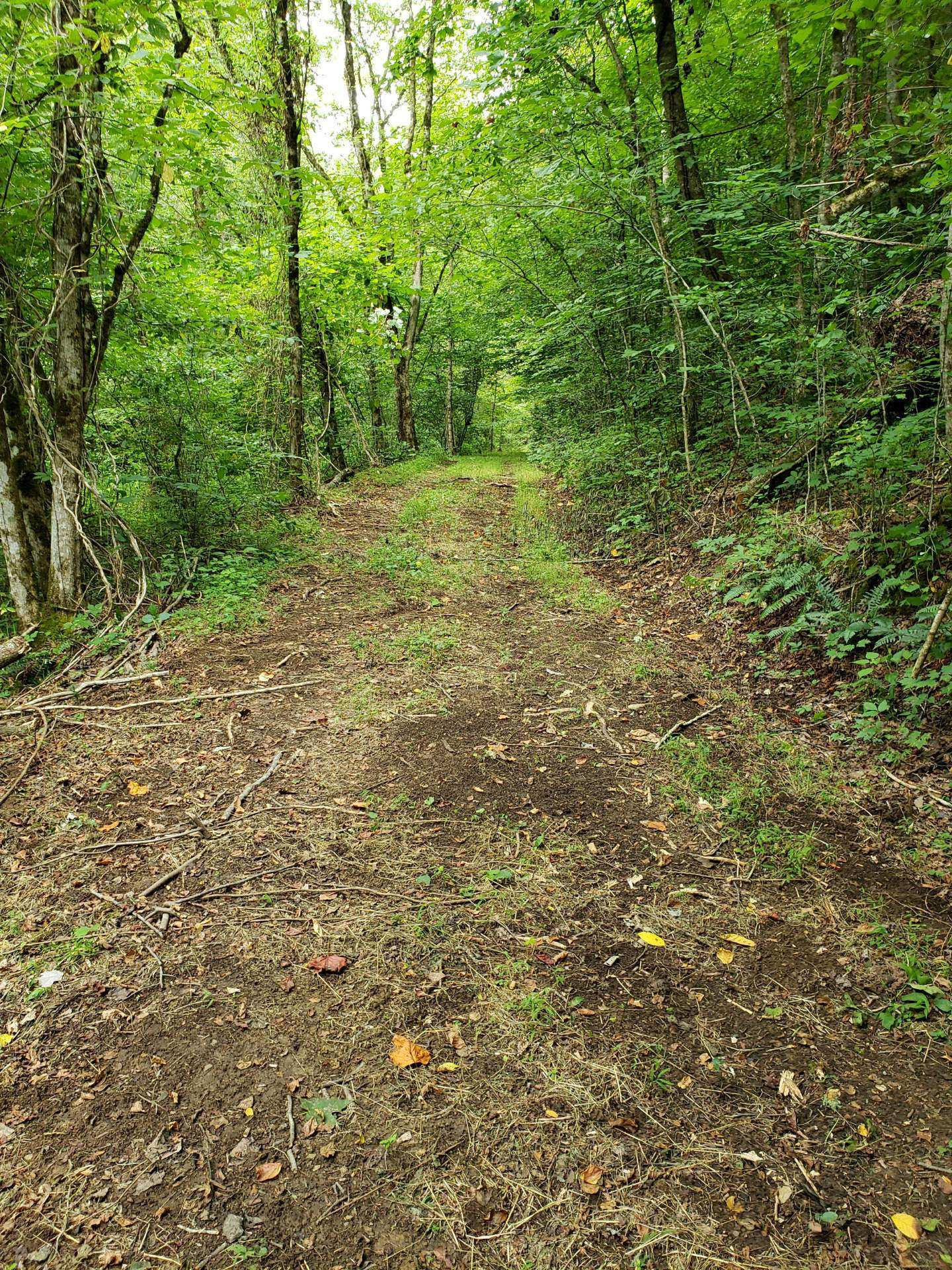 0 Lower Caney Valley Road Tazewell, TN 37879 - Photo 12 of 13 unnamed (12)