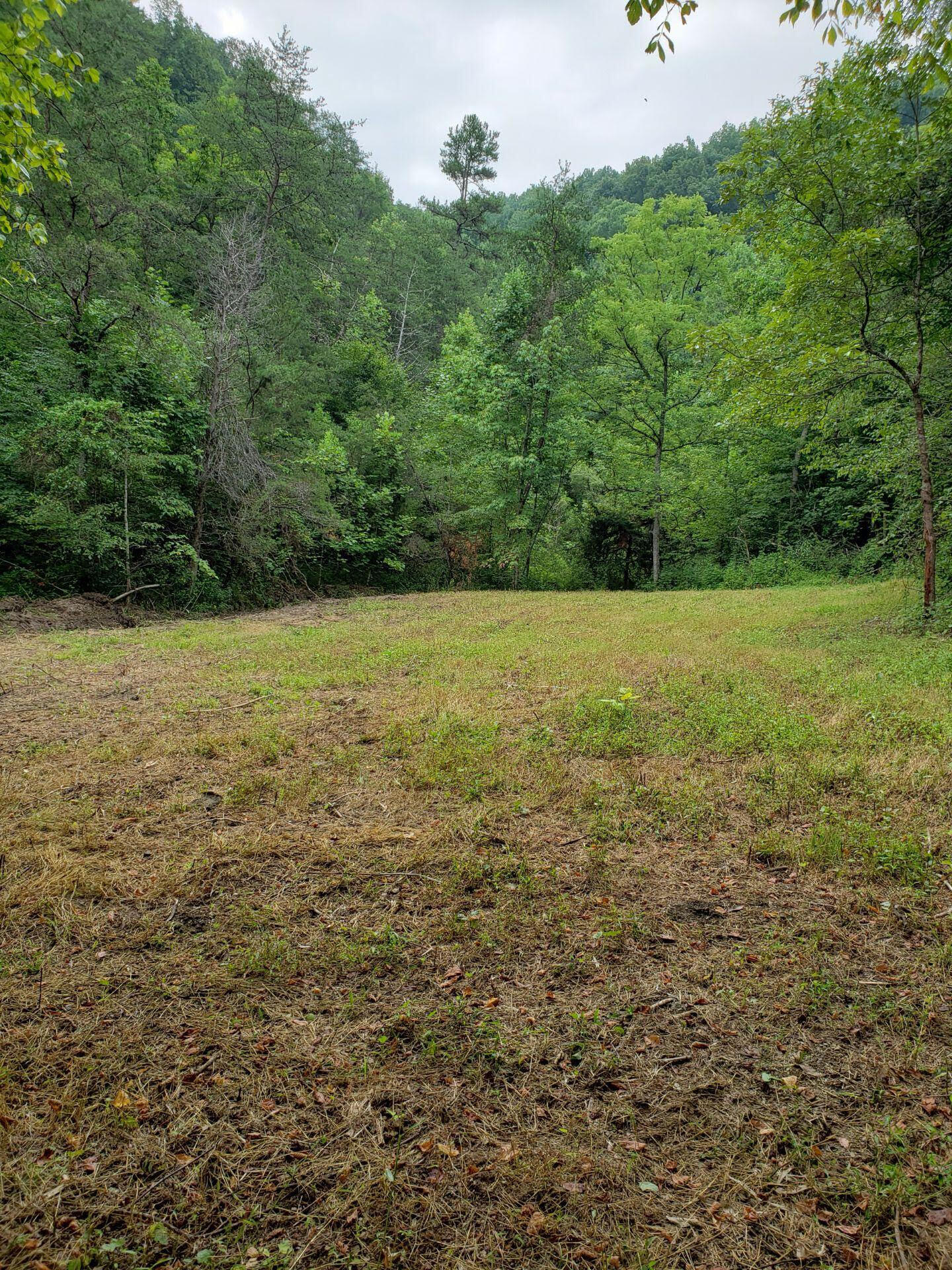 0 Lower Caney Valley Road Tazewell, TN 37879 - Photo 9 of 13 unnamed (9)