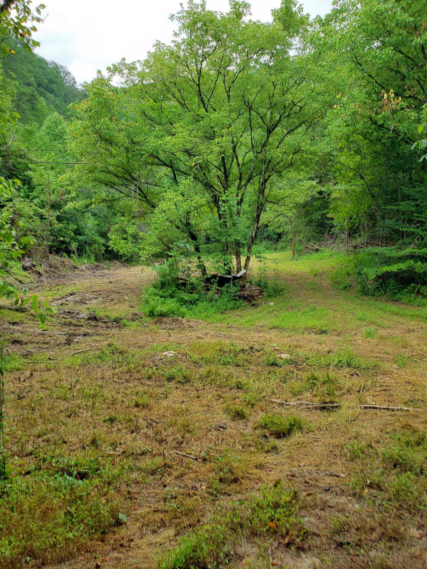0 Lower Caney Valley Road Tazewell, TN 37879 - Photo 10 of 13 unnamed (10)