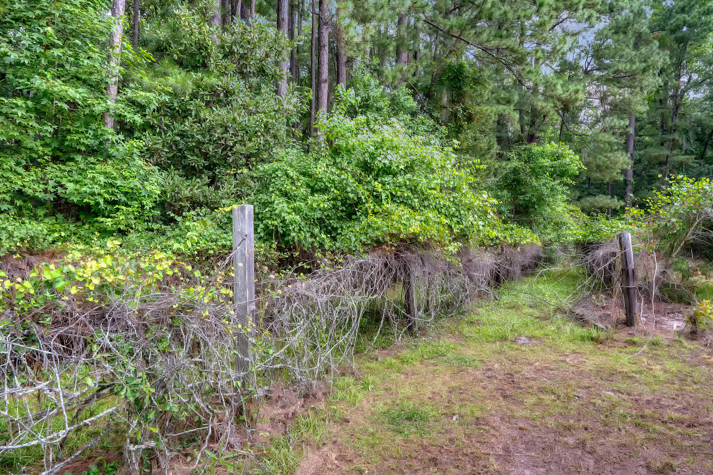 421 County Rd S-18-132 Dorchester, SC 29437 - Photo 36 of 36 DSC02964_12 copy