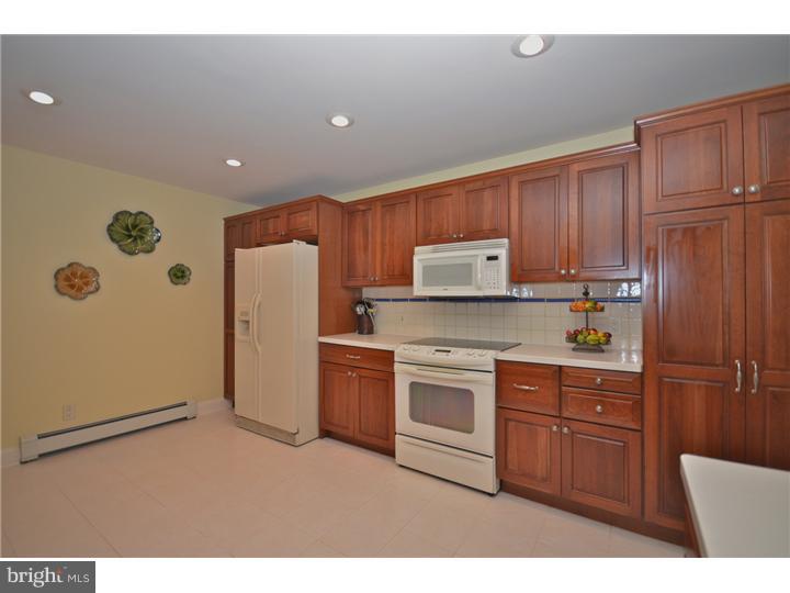 46 Mountain Road Hopewell, NJ 08525 - Photo 8 of 25 Kitchen