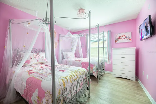 a view of a yard with plants