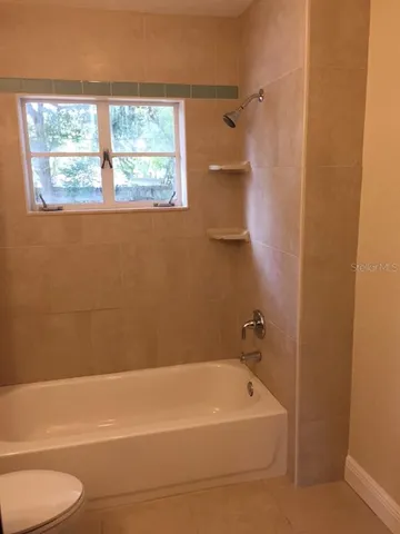 a view of a yard with plants and a large tree