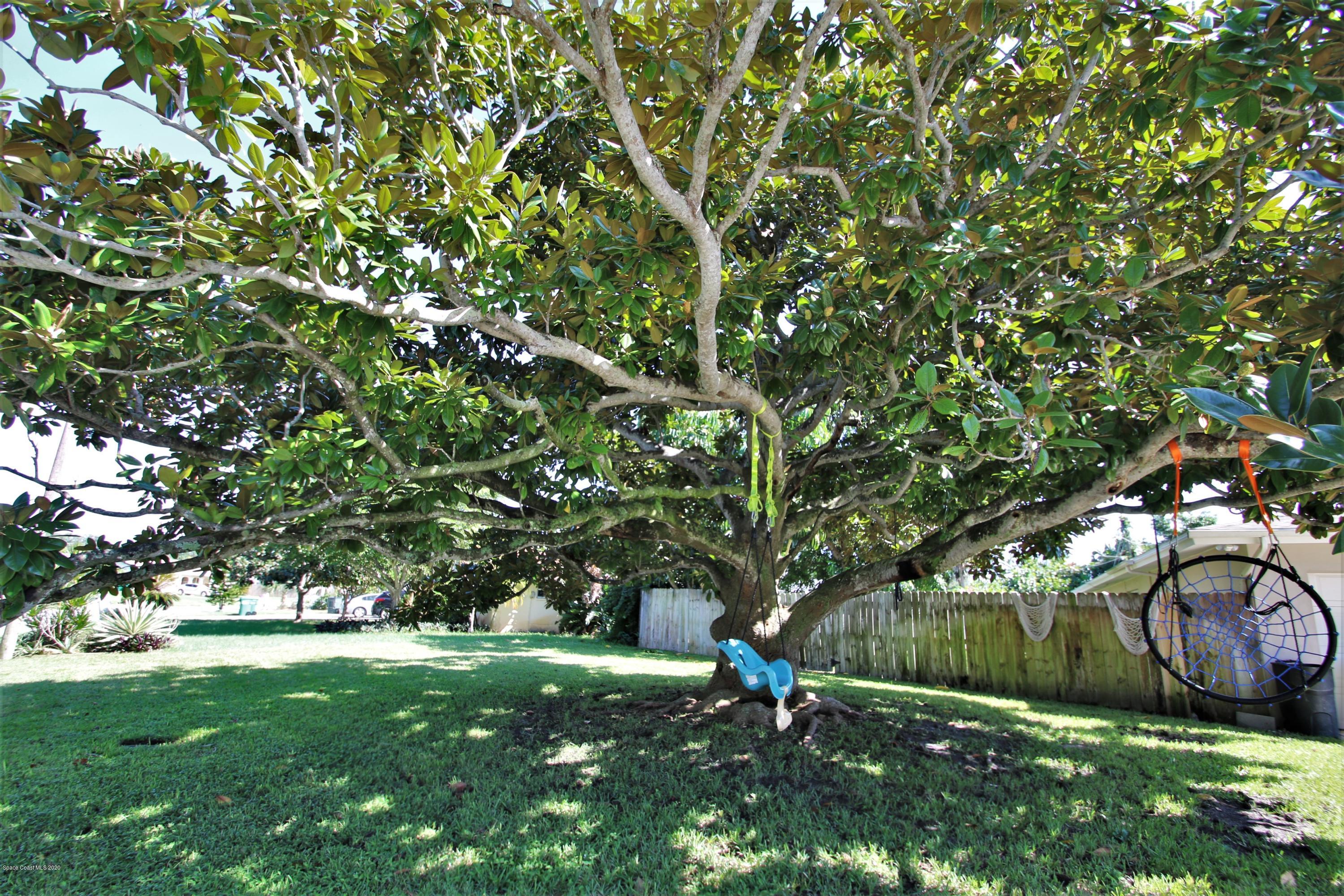 3650 Laurette Road Merritt Island, FL 32952 - Photo 34 of 36 Play Tree