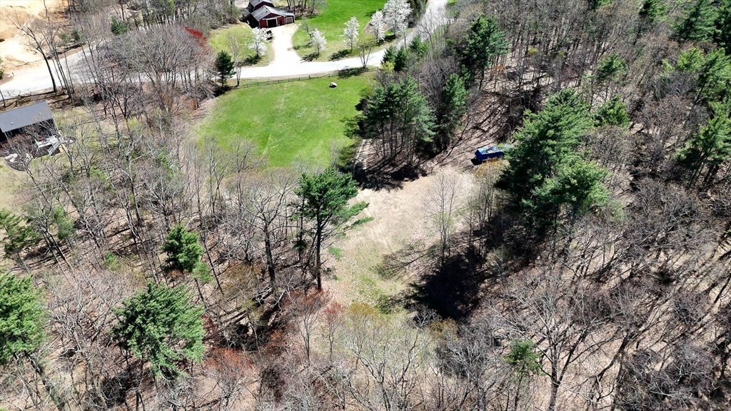0 Wildwood Road East Brookfield, MA 01515 - Photo 24 of 38 a view of a forest with a tree