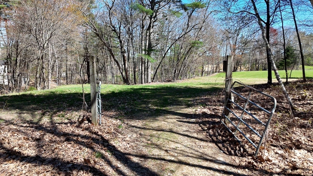 0 Wildwood Road East Brookfield, MA 01515 - Photo 31 of 38 a view of a park that has large trees
