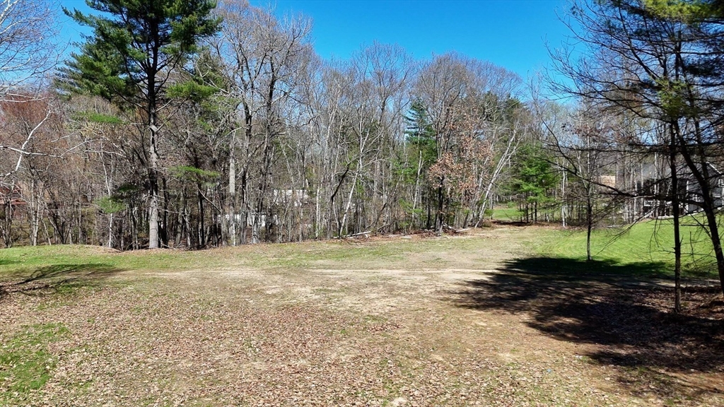 0 Wildwood Road East Brookfield, MA 01515 - Photo 35 of 38 a view of a yard with a tree