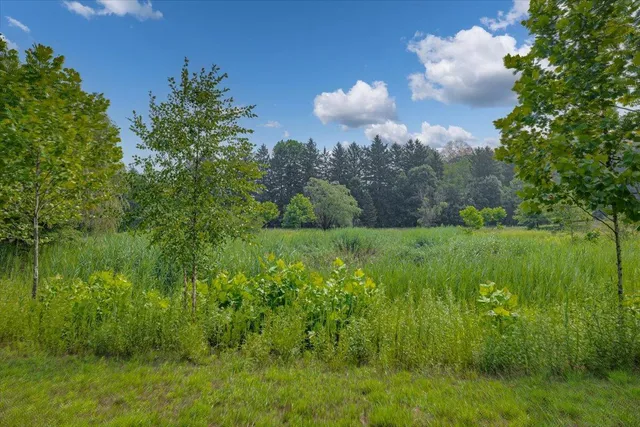 $650,000 | 19839 South Witt Road, Three Oaks, MI 49128