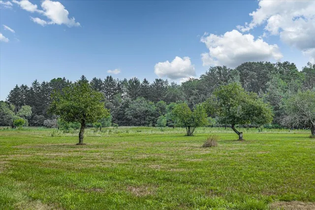 $650,000 | 19839 South Witt Road, Three Oaks, MI 49128