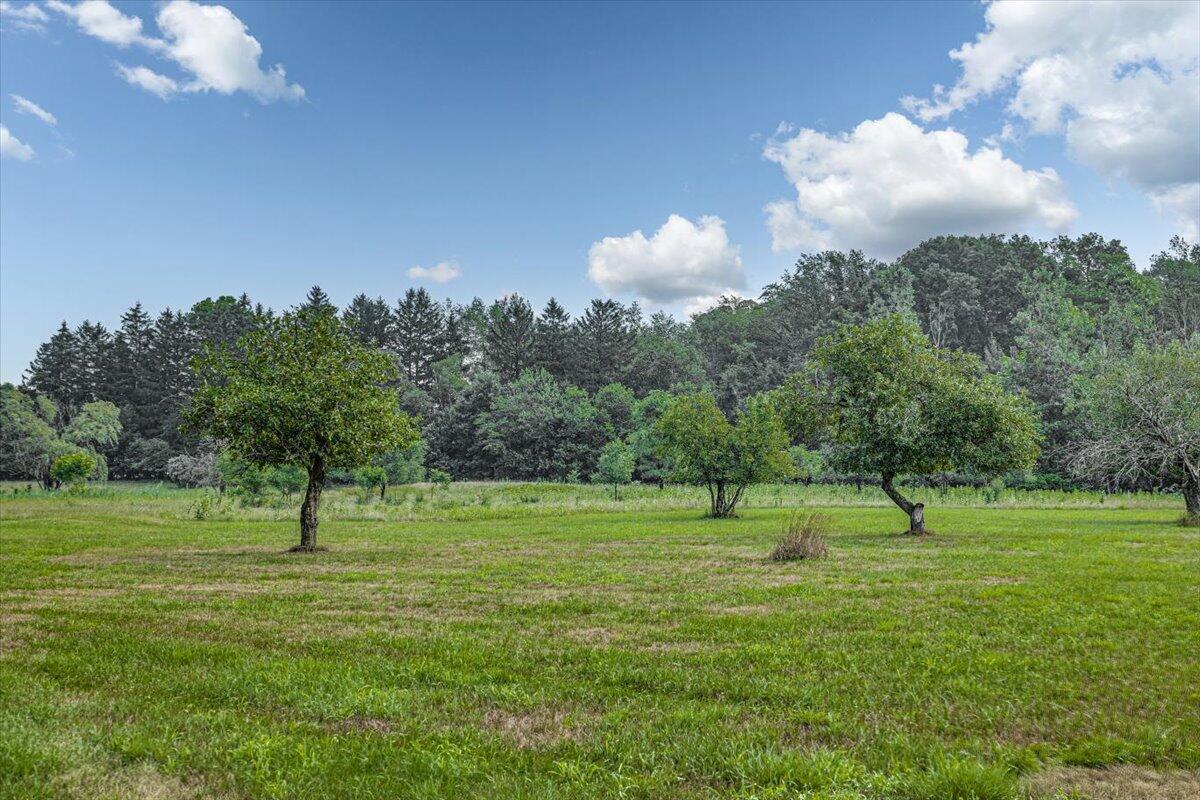 19839 South Witt Road Three Oaks, MI 49128 - Photo 4 of 13 02-EK2A9957blended-Edit