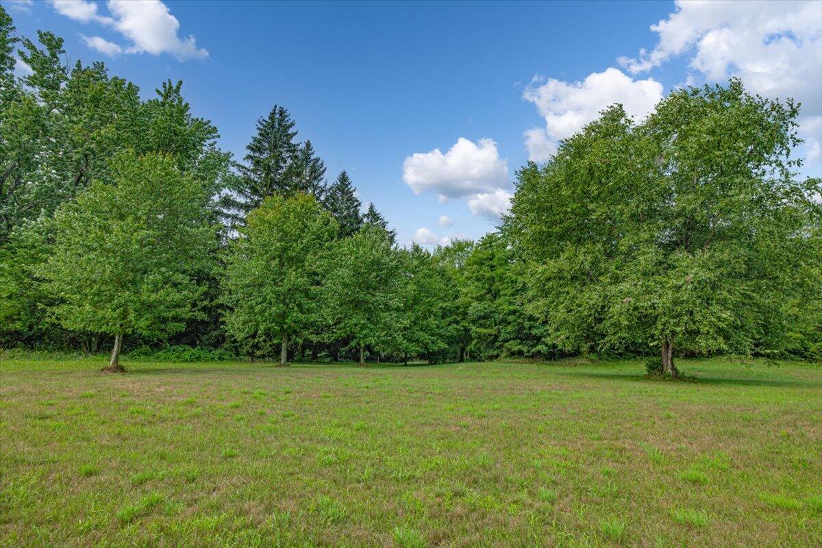 19839 South Witt Road Three Oaks, MI 49128 - Photo 5 of 13 06-EK2A9969-Edit