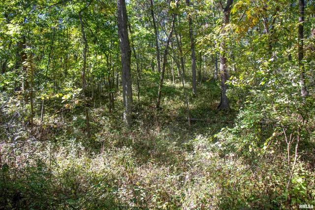 $960,000 | 27232 State Highway, La Grange, MO 63448