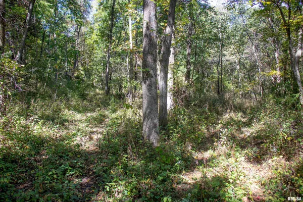 $960,000 | 27234 State Hwy Z, Canton, MO 63435