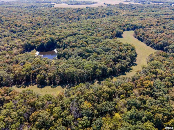 $960,000 | 27234 State Hwy Z, Canton, MO 63435