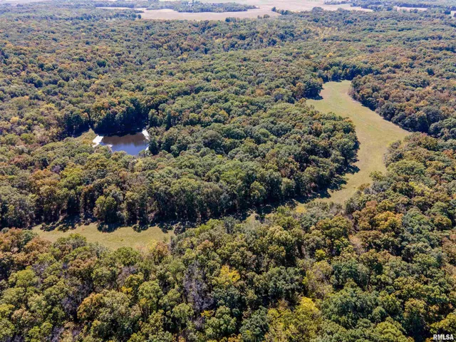 $960,000 | 27232 State Highway, La Grange, MO 63448