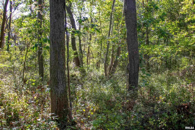 $960,000 | 27232 State Highway, La Grange, MO 63448