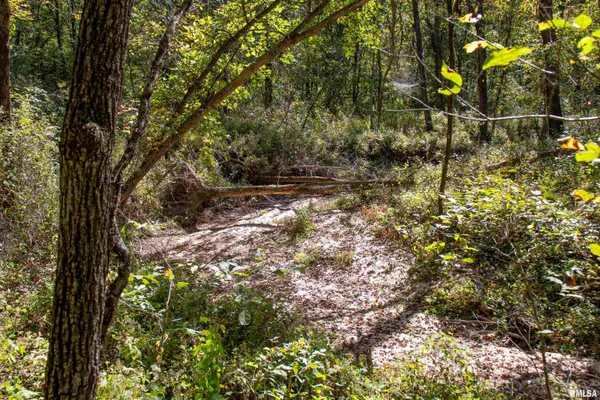 $960,000 | 27234 State Hwy Z, Canton, MO 63435