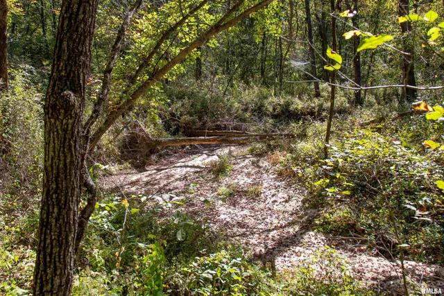 $960,000 | 27232 State Highway, La Grange, MO 63448