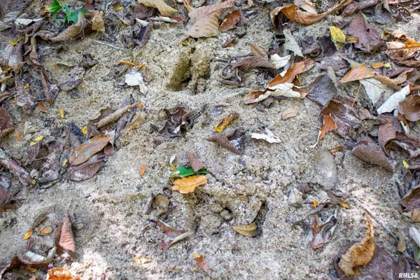 $960,000 | 27234 State Hwy Z, Canton, MO 63435