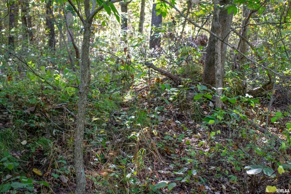 $960,000 | 27234 State Hwy Z, Canton, MO 63435