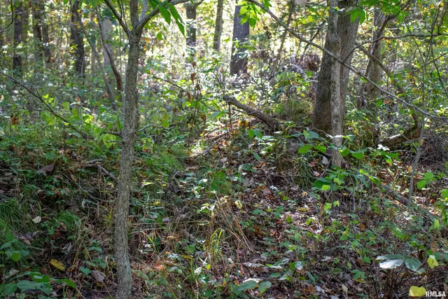 $960,000 | 27232 State Highway, La Grange, MO 63448