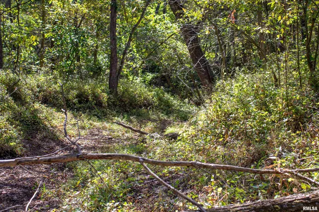 $960,000 | 27232 State Highway, La Grange, MO 63448