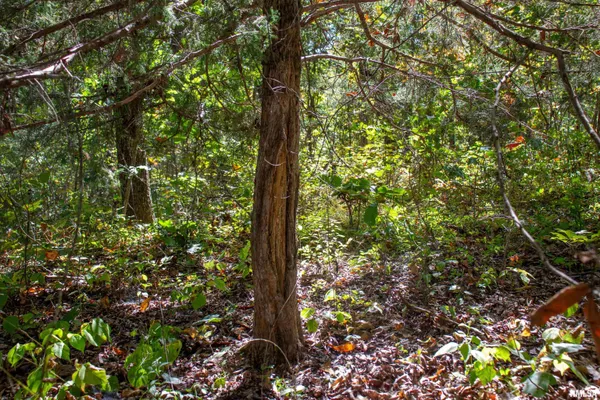 $960,000 | 27234 State Hwy Z, Canton, MO 63435