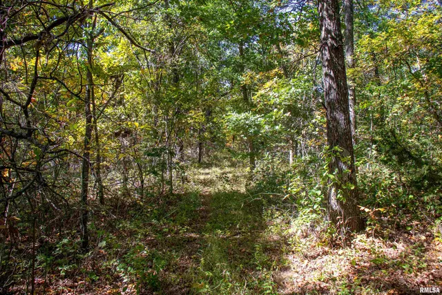 $960,000 | 27232 State Highway, La Grange, MO 63448