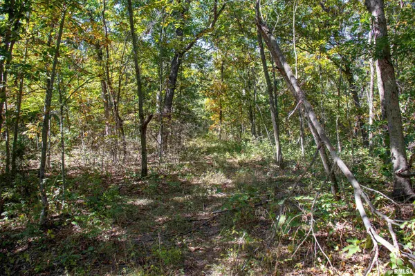 $960,000 | 27234 State Hwy Z, Canton, MO 63435