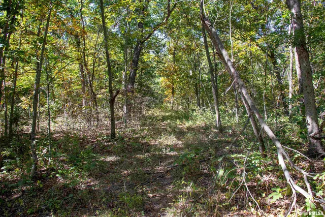 $960,000 | 27232 State Highway, La Grange, MO 63448