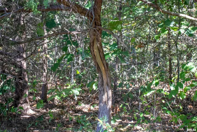 $960,000 | 27232 State Highway, La Grange, MO 63448