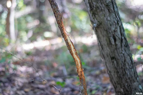 $960,000 | 27234 State Hwy Z, Canton, MO 63435