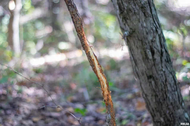 $960,000 | 27232 State Highway, La Grange, MO 63448