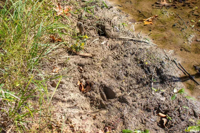 $960,000 | 27232 State Highway, La Grange, MO 63448