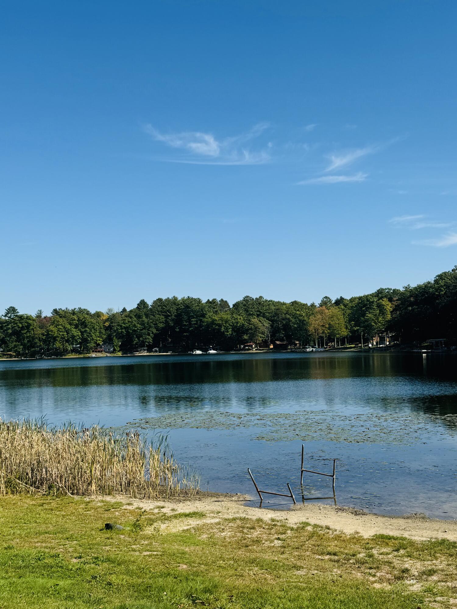 5112 North Bass Lake Road Irons, MI 49644 - Photo 11 of 41 92 ACRE LAKE