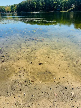 $314,900 | 5112 North Bass Lake Road, Irons, MI 49644