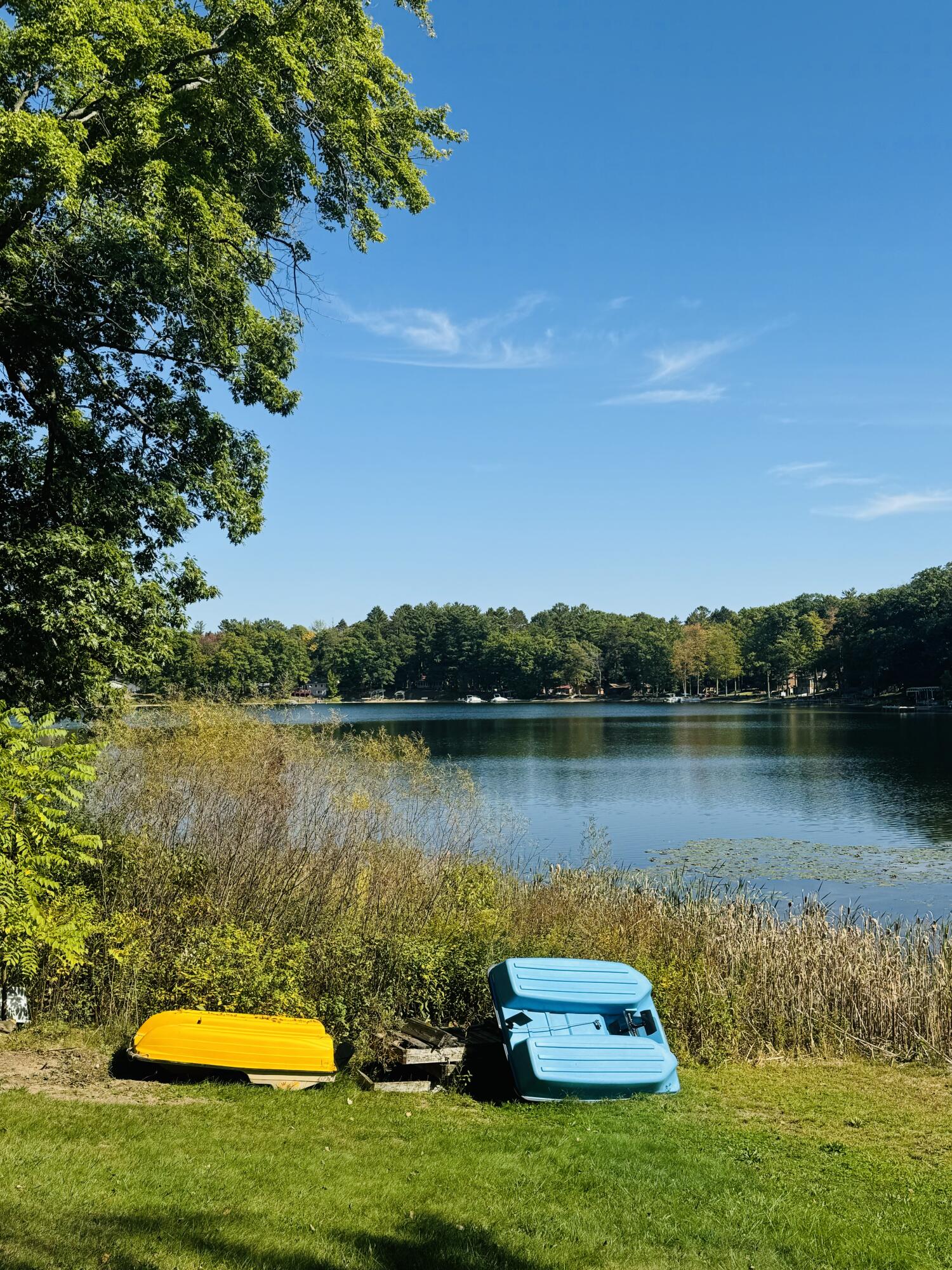5112 North Bass Lake Road Irons, MI 49644 - Photo 10 of 41 Great place to enjoy lake life