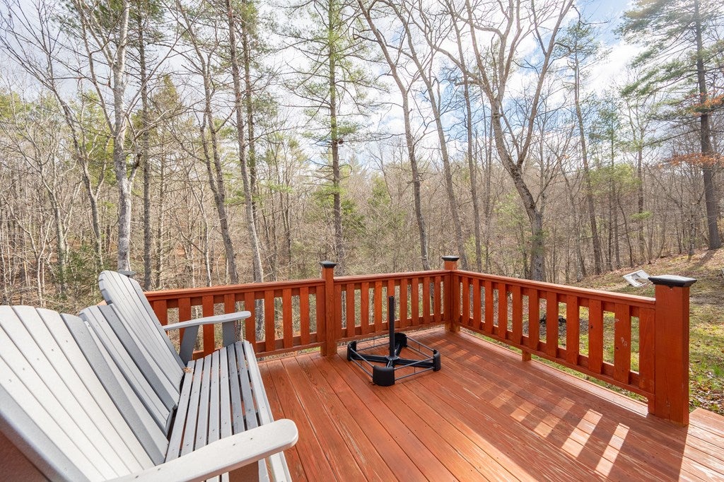 2804 Price Ridge Road Bland, VA 24315 - Photo 40 of 63 Gallery Image 40
