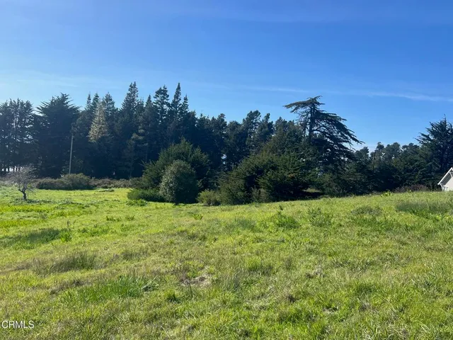 a view of a grassy field with trees in the background