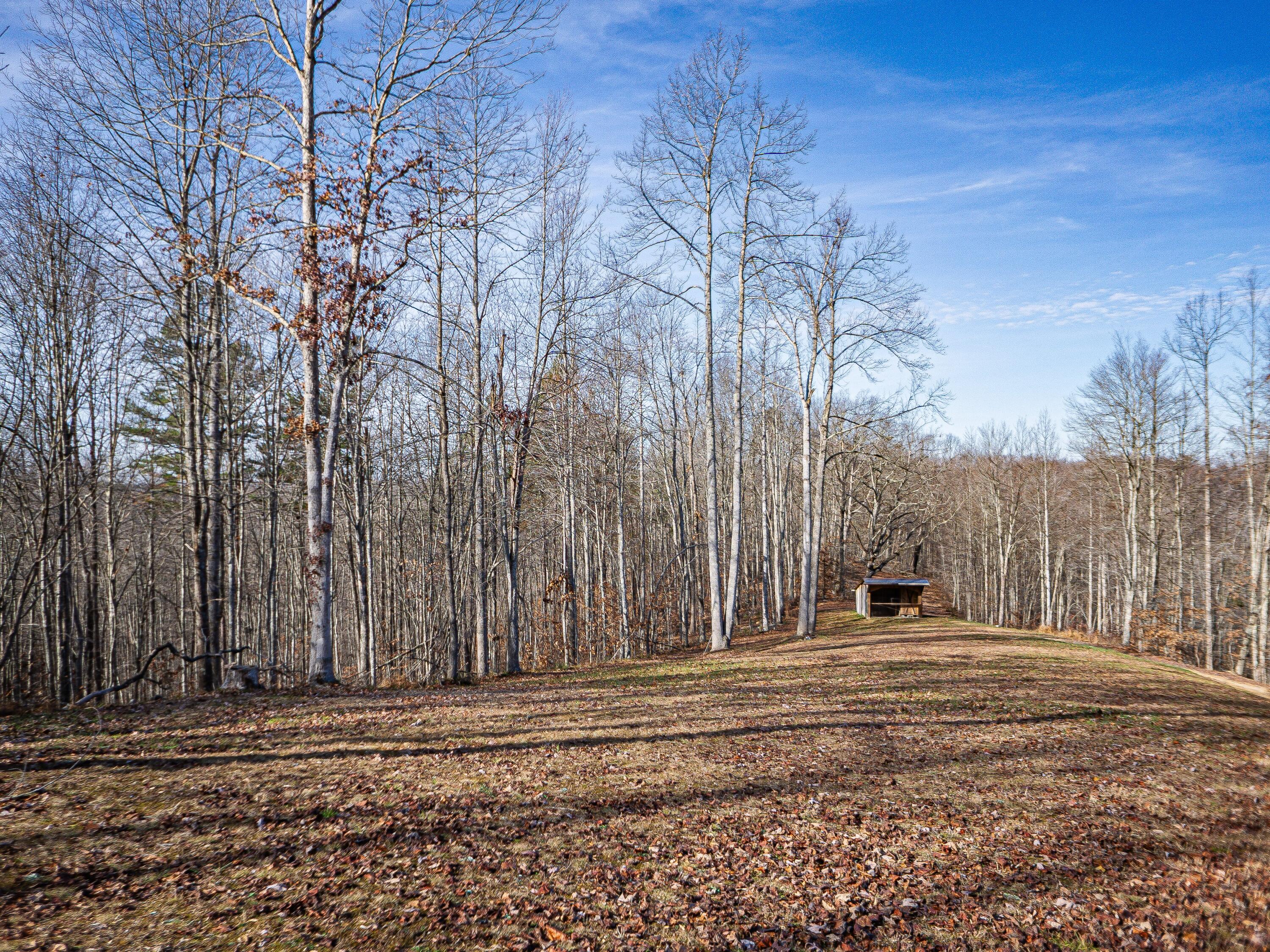 1818 South Tree Tower Road McKee, KY 40447 - Photo 4 of 45 1818 South Tower Road-04