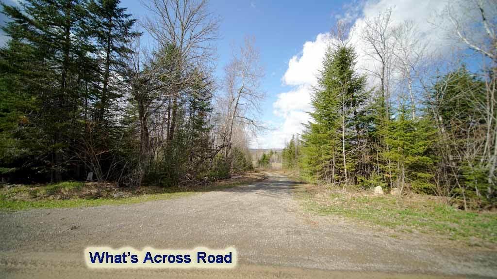 Lot 23 Mill Road East Orient, ME 04471 - Photo 14 of 28 across-road-me-land