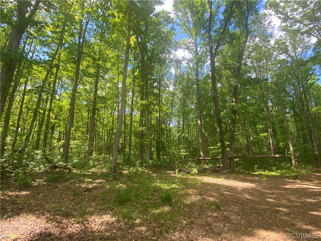 0 Oakland Road Louisa, VA 23093 - Photo 1 of 7 Gallery Image 1