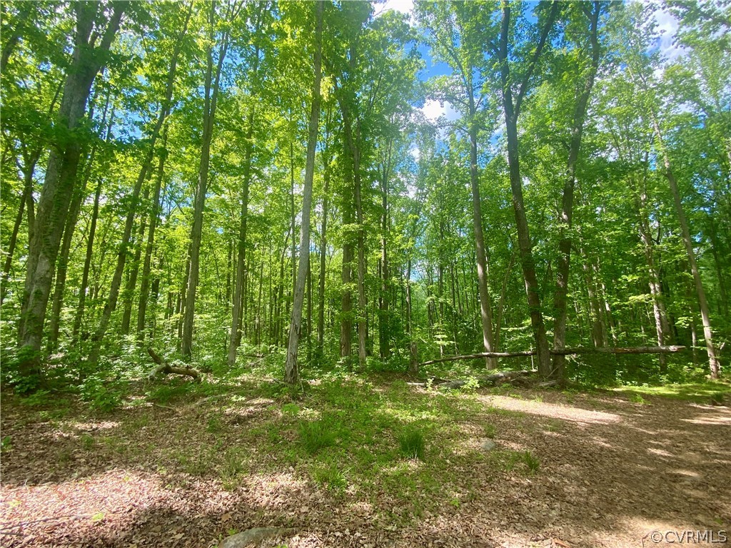 0 Oakland Road Louisa, VA 23093 - Photo 4 of 7 Gallery Image 4