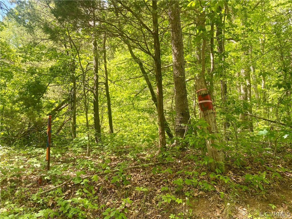 0 Oakland Road Louisa, VA 23093 - Photo 6 of 7 Gallery Image 6