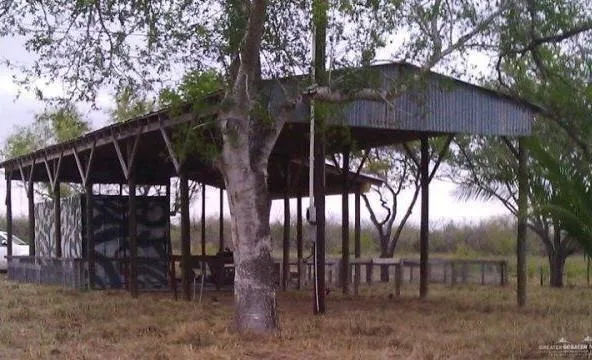 a view of a backyard with large trees and wooden fence