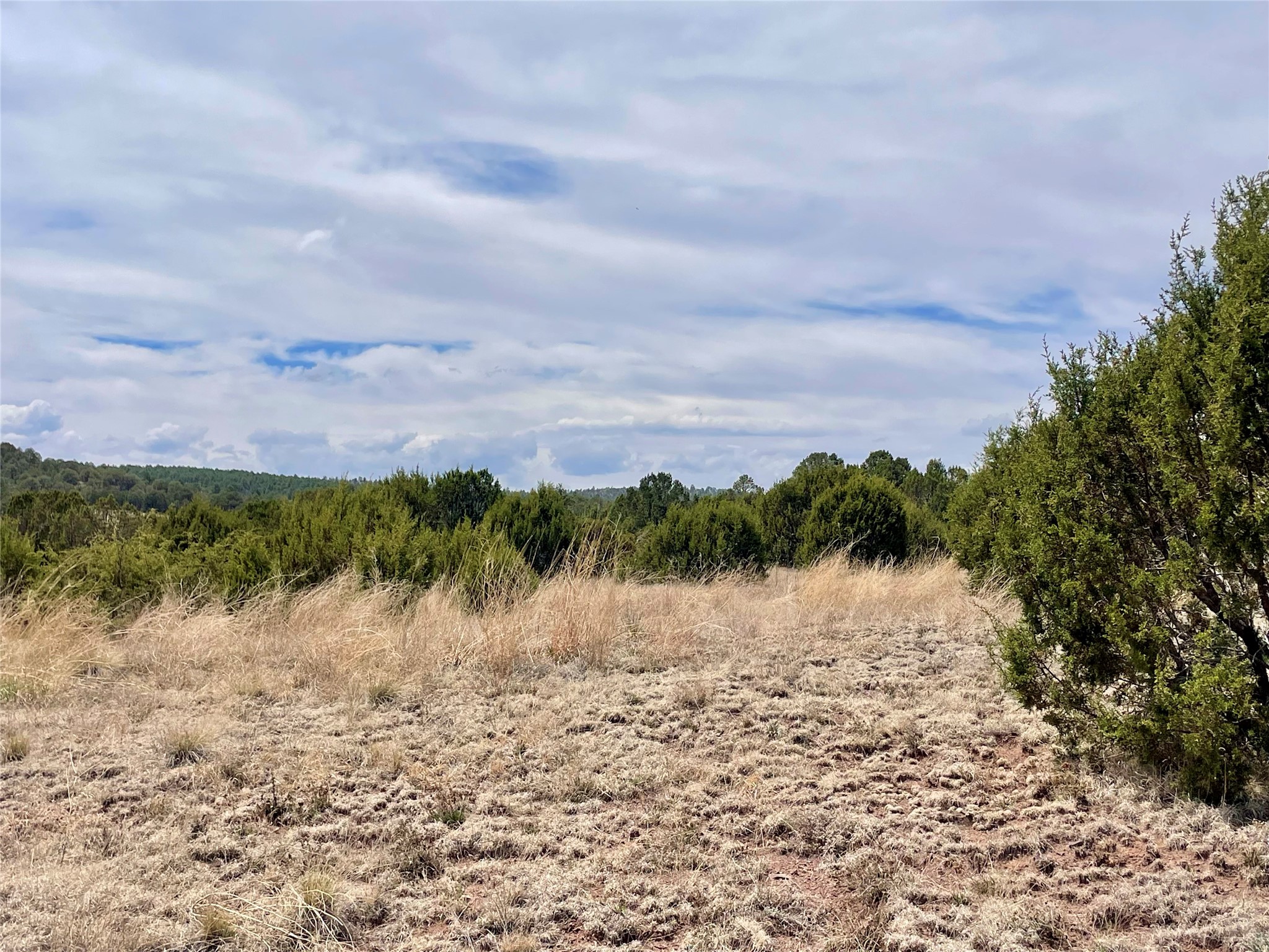 331 Mirasol Road Las Vegas, NM 87701 - Photo 12 of 14