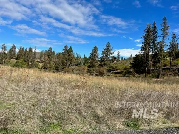$160,000 | Tbd Lot 1 Tbd Road, Kamiah, ID 83536
