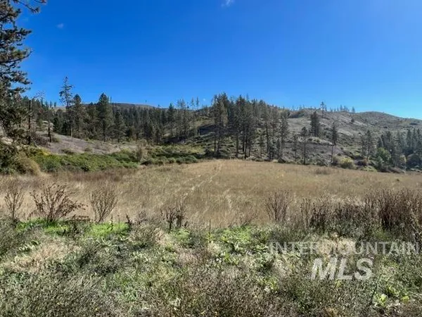 $160,000 | Tbd Lot 1 Tbd Road, Kamiah, ID 83536