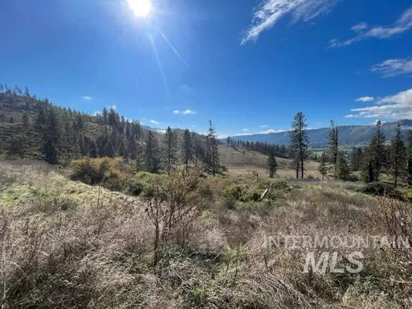 $160,000 | Tbd Lot 1 Tbd Road, Kamiah, ID 83536